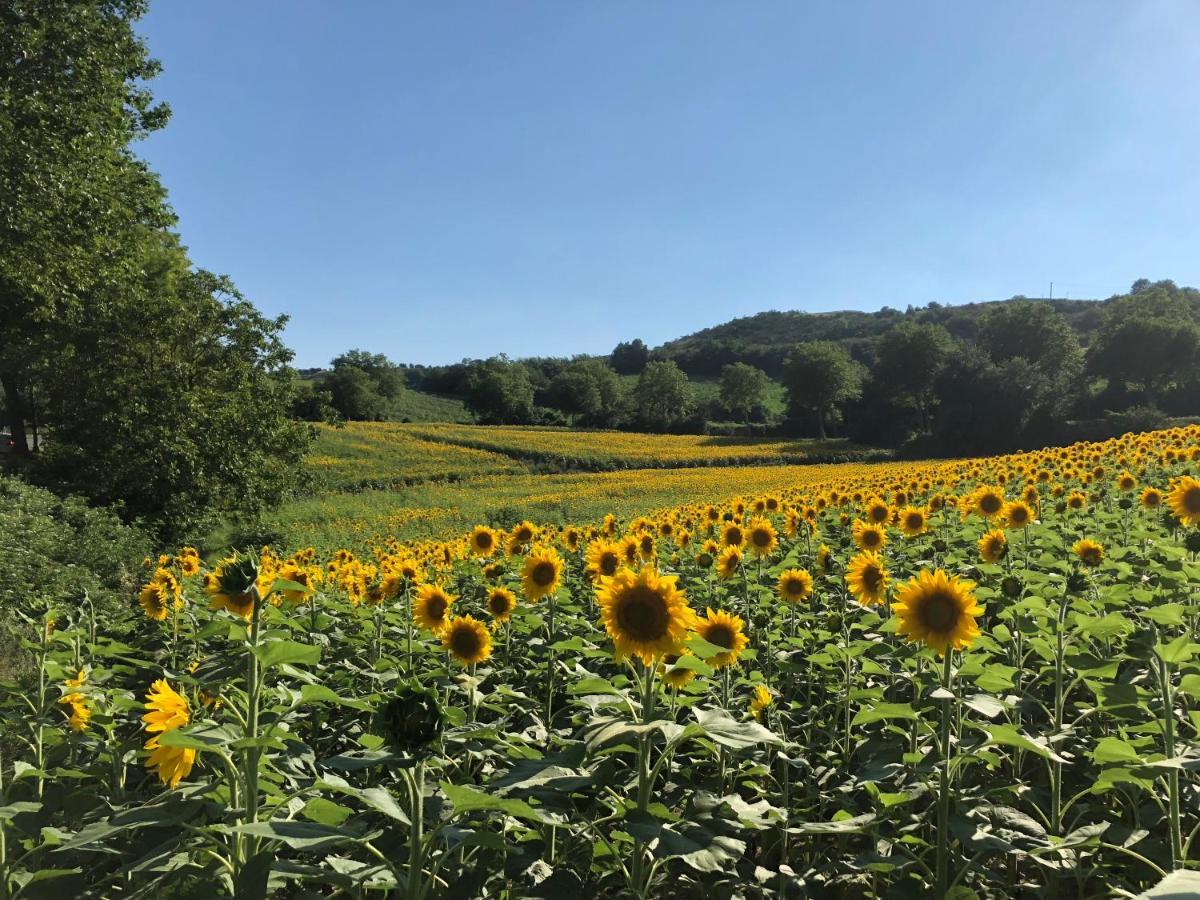 Le Grenier Occitan Bed and Breakfast Gramazie Buitenkant foto