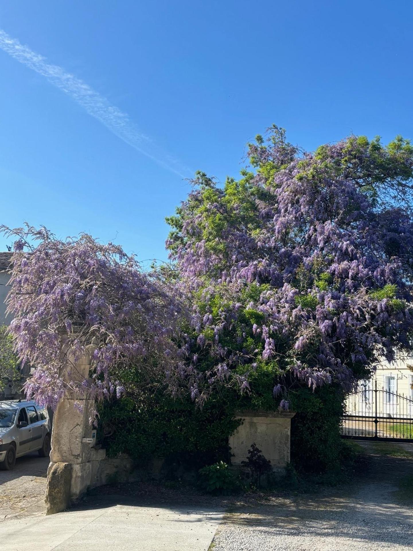 Le Grenier Occitan Bed and Breakfast Gramazie Buitenkant foto